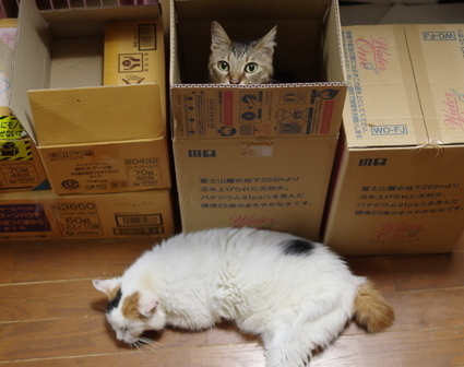 m_20190910fuku01.jpg