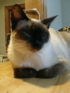 milk2005-7.jpg