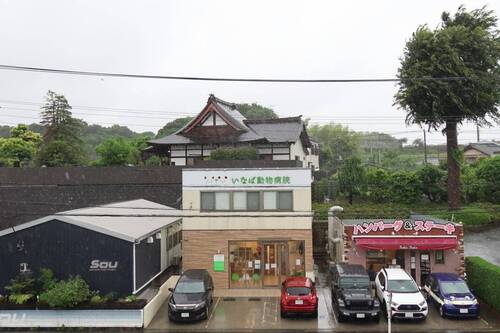 20250517torakichi01S.JPG